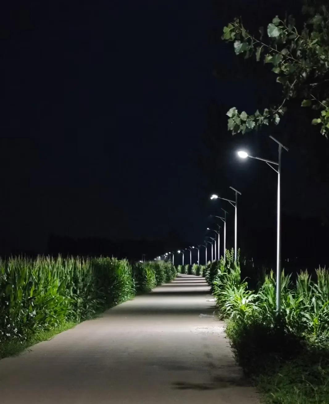惊掉下巴！
电诈分子竟坦言：
那些错字连篇的短信、口音奇怪的诈骗电话，
全是故意