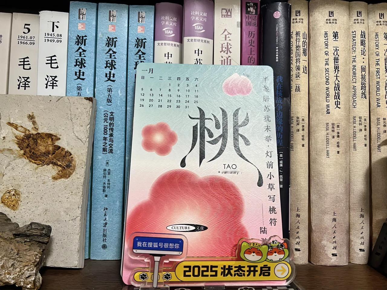 所以说，增加消费，要从增加爱好入手，日常吃喝拉撒花不多少钱，家用电器买一次管用1