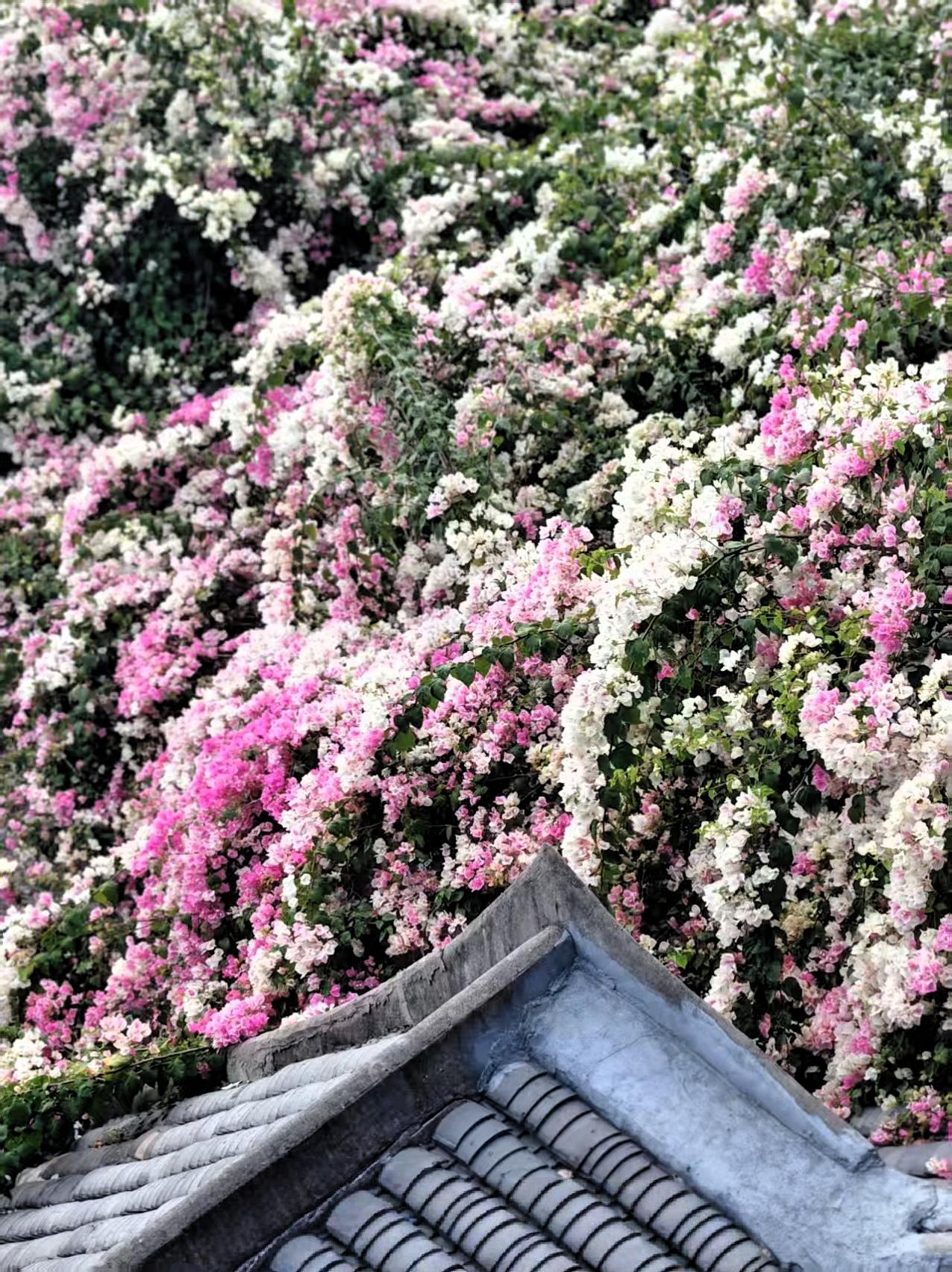 林徽因有一句话：
“最好的爱，是给你力量去做自己。”
如果一份感情让你很累，
没