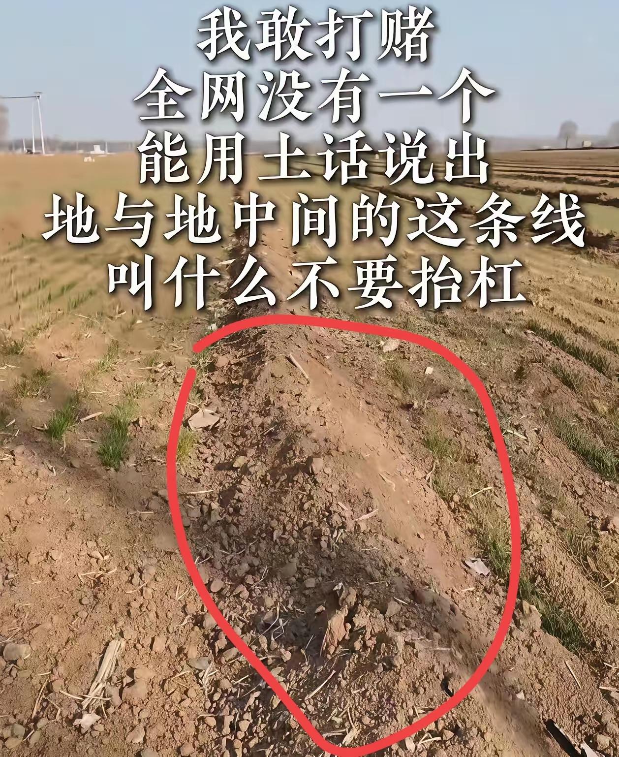 问了十里八村的，无一人知道这个用土话怎么说，全军覆没，难度系数七颗星，友友们，这