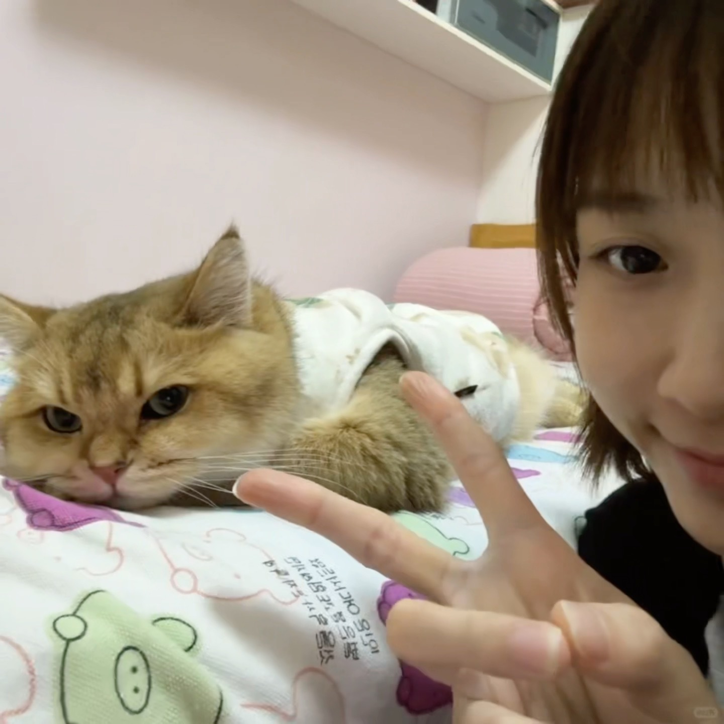 刘炜珊：🐱咪～🐈 ​​​