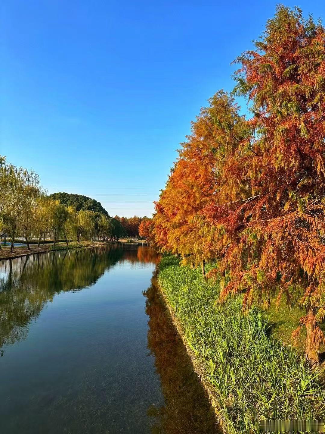 答案你要像原始人一样忍耐，把问题本身当做自然生长的果实，不要急于寻找答案，因为答
