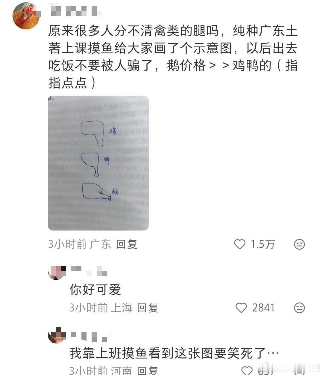 看着解析，猜猜哪个是鸭腿哪个是鹅腿？ 