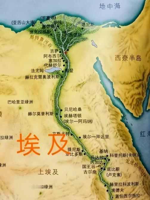 埃及人口问题近乎无解，因为这道题难度实在太大了，全球找不出第二个来。

开罗街头