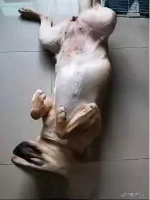 杜芬的作品《云菲左岸》说他在九江直播时被姚世兵打了，心率很难受，账号被封了。在这