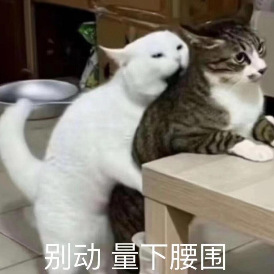 这种局面仿佛是在故意摆烂输球一样，各种离奇的失误，讲真的，故意失误都没他们这样逼
