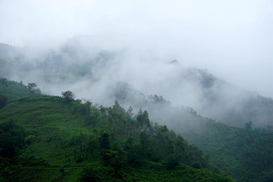 清明雨纷纷，祭祖满山行，祖恩如山海，福荫后世孙晒出你的本地生活扫墓感怀 华夏传统