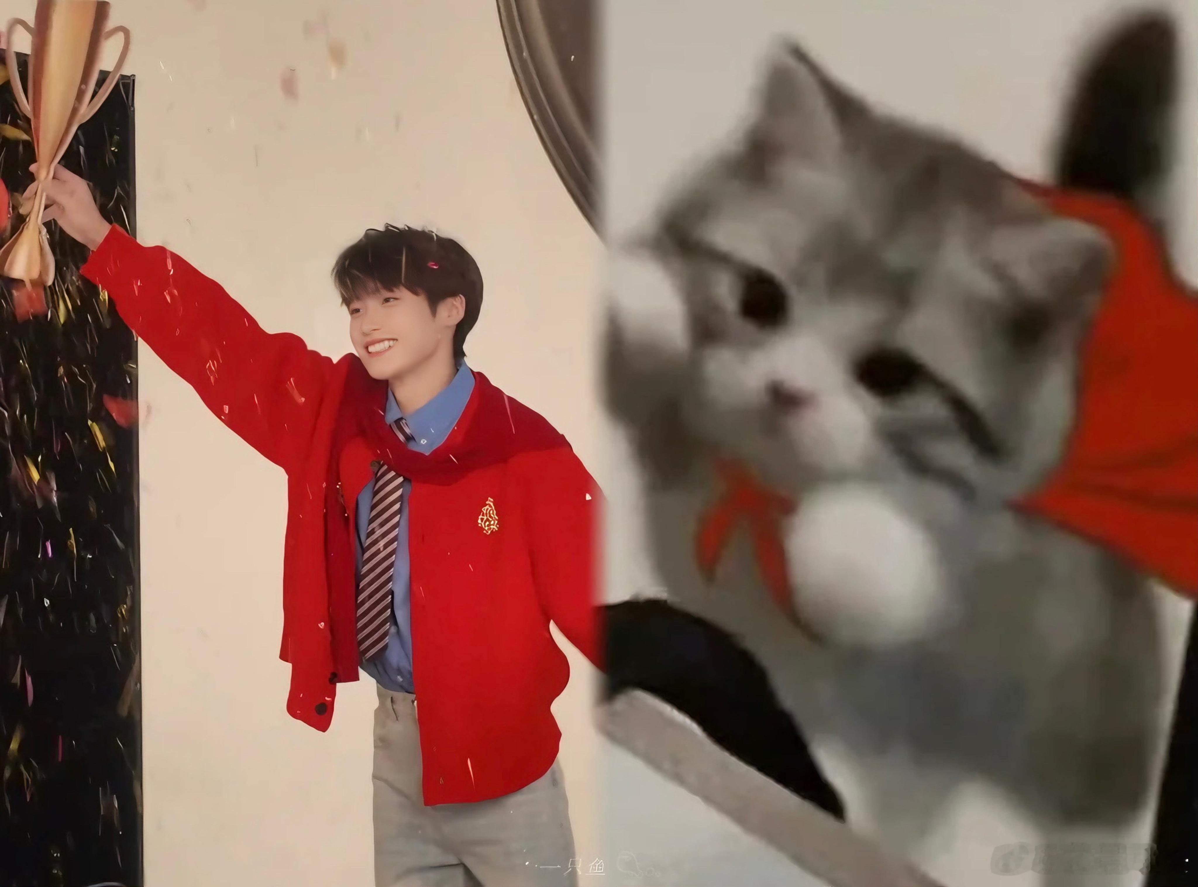 哈哈哈，太可爱了吧！