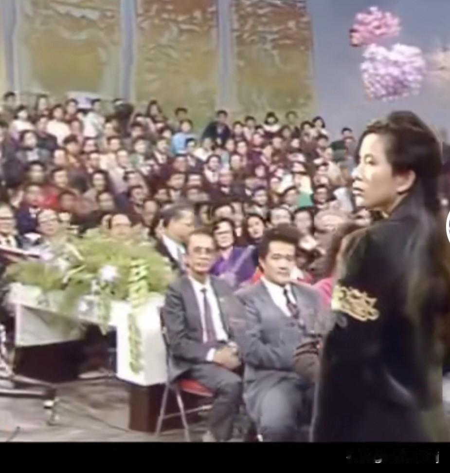 1991年春节联欢晚会上，潘美辰一曲《我想有个家》，引发了无数人的共鸣。这首歌的