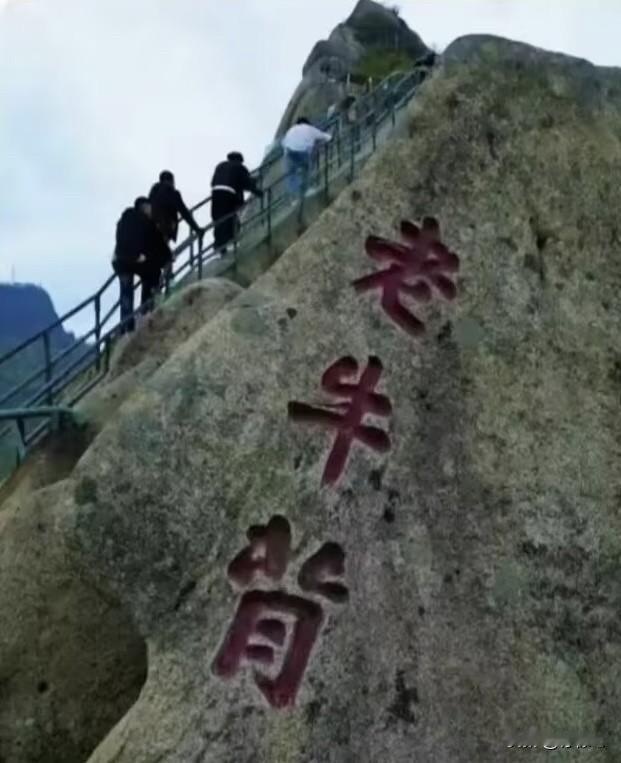 51岁男子坐栏杆后仰坠崖身亡💔妻子目睹全过程崩溃大哭！
8月2日，辽宁丹东凤凰