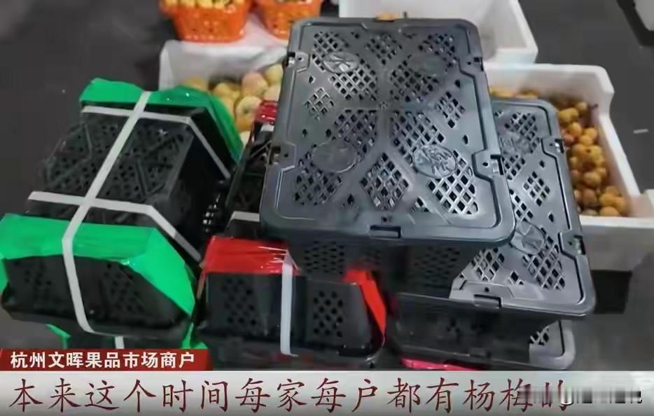 【据看看新闻】这两天，浙江本地杨梅少量进入市场。虽然受到此前福建 “泡药杨梅” 