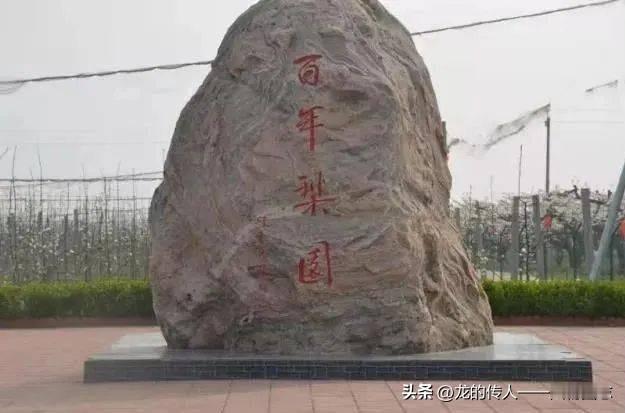 冬日生活打卡季