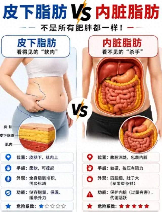 内脏脂肪一清，体重自己往下走，这5种食物我换着吃了3个月