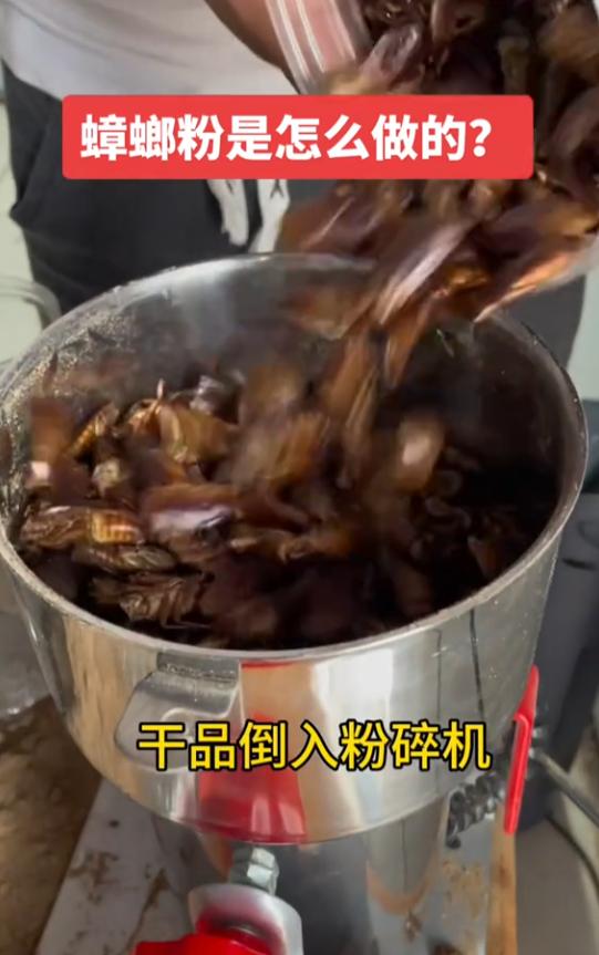 健身圈最近在吹“蟑螂粉”！没错就是蟑螂磨成粉，说是便宜大碗高蛋白。说实话，能吃得