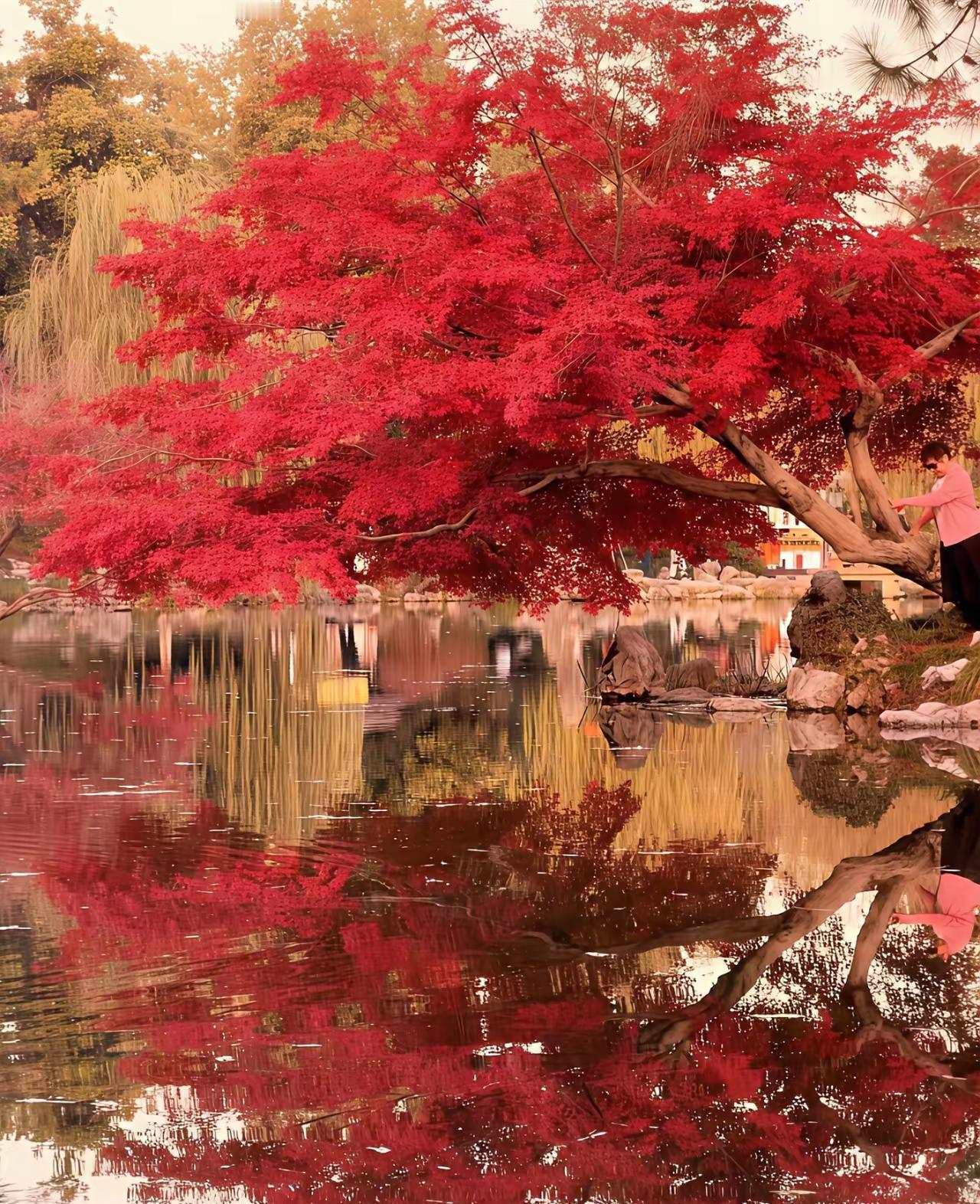 最有道理的一句话:“强者都是先沉迷美色，再做到不近美色。因为他们体验过顶级的欲望