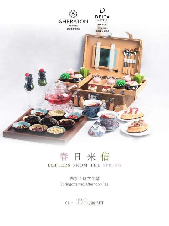 🕊️Sᴡᴇᴇᴛ ɪɴ Sᴘʀɪɴɢ | 春城昆明的甜蜜来信