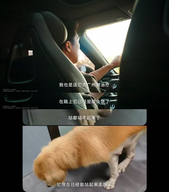 小猫小狗也需要救护车 毛孩子也是家人，生病受伤时同样需要争分夺秒的救援，它们不会