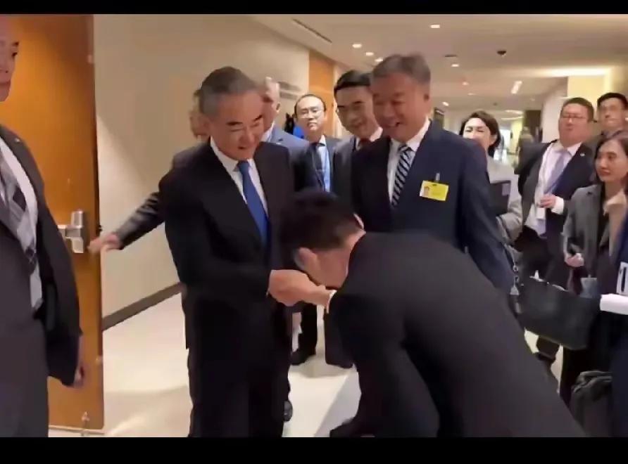 好一个徐德智，有才有德，英语好，做人好，不知他是谁家儿子、谁家丈夫、谁家女婿、谁