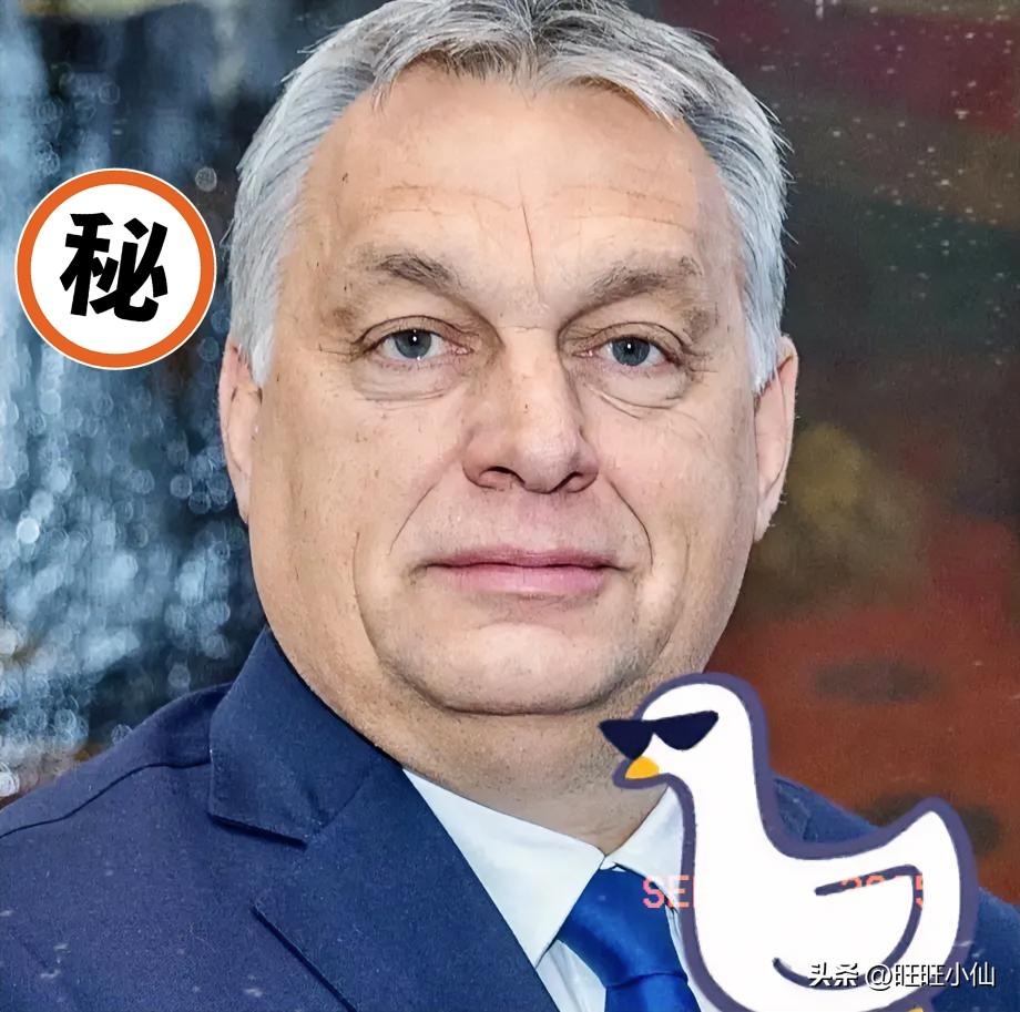 快讯！快讯！
匈牙利总理宣布了！
9月21日，匈牙利总理欧尔班在布达佩斯发表讲话