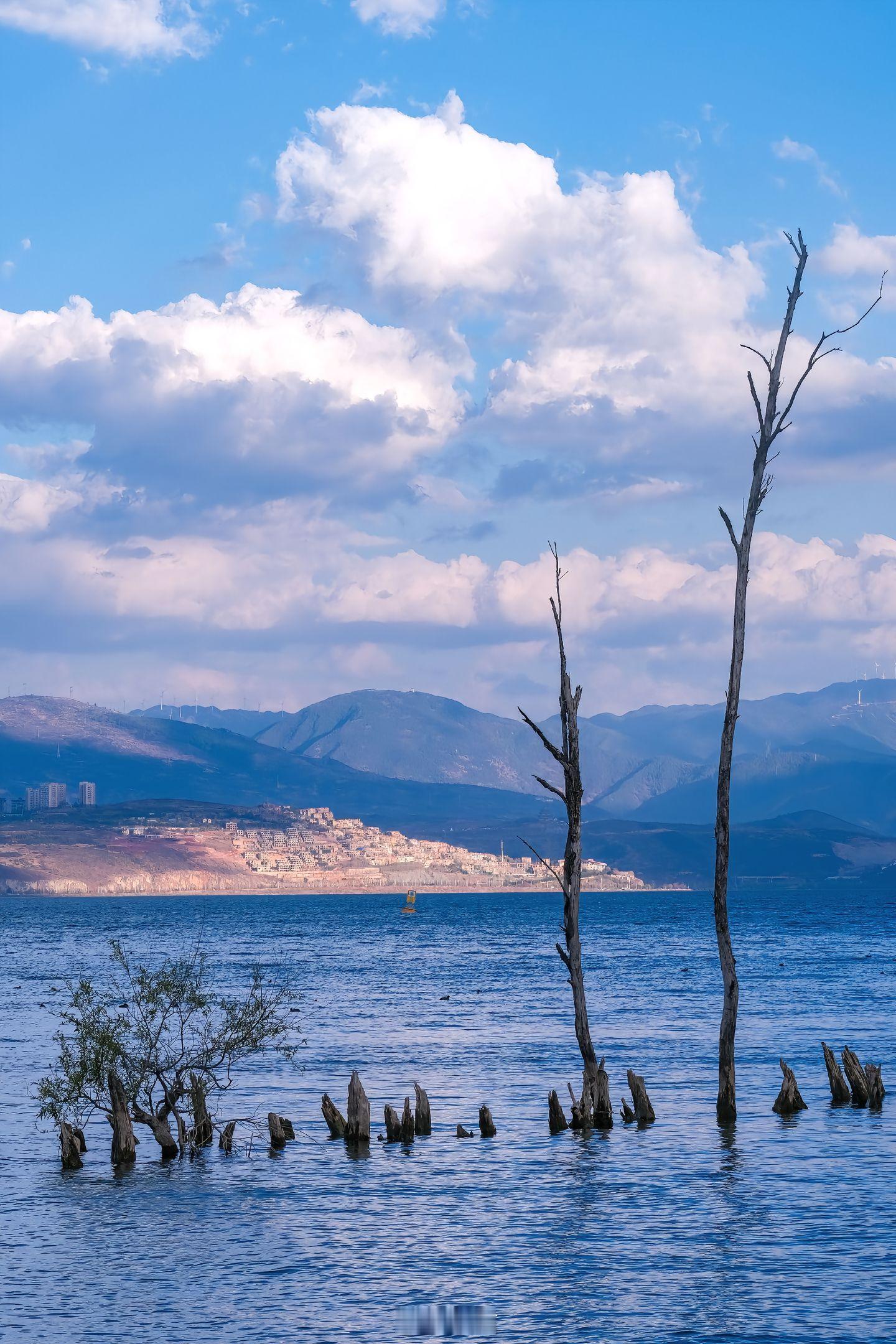 小菌 路的尽头是山海。 