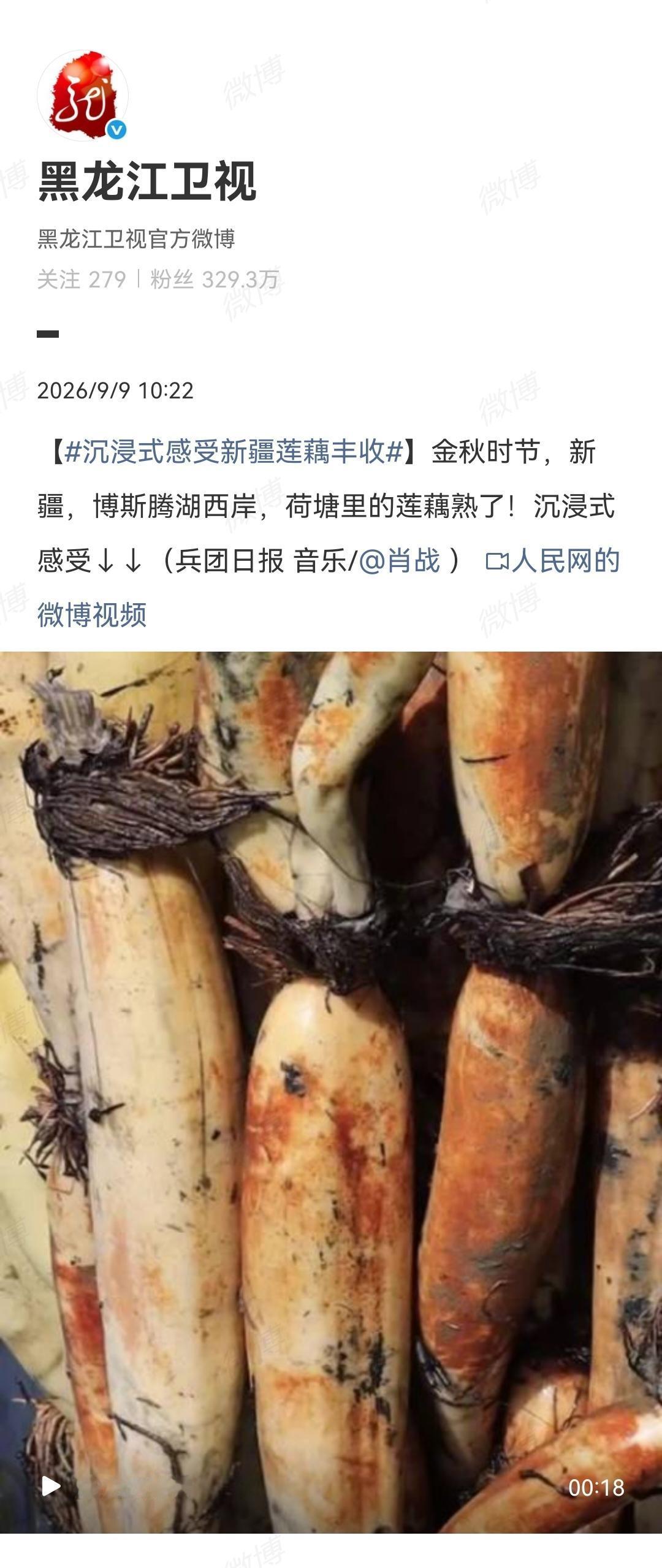 9月9日，黑龙江卫视、云南广播电视台发了肖战的歌[机智]