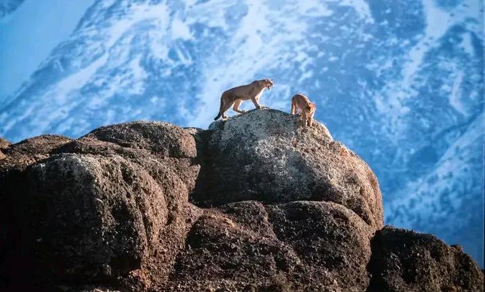 泰柬冲突愈发激烈，泰国海军提出阻止柬埔寨从海上通道获能源的计划，把柬港口附近海域