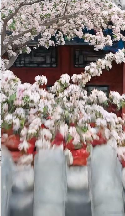 北京豆汁榜来了你敢挑战吗 高德这波操作让城市文旅多了份“参与感”。豆汁榜不只是推