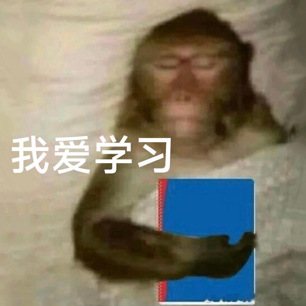 晚上好～分享一首你最喜欢的歌曲吧～大电竞分享
