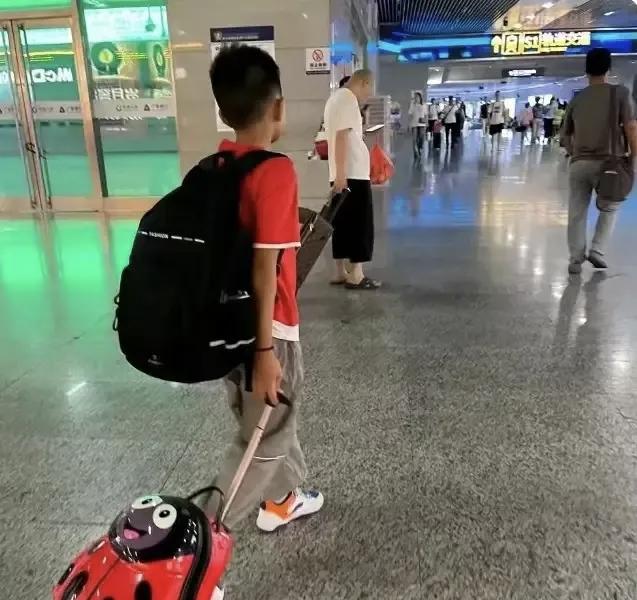“太好哭了！”年仅十三岁的少年不幸痛失母亲，父亲为护孩子童真，默默用善意谎言遮挡