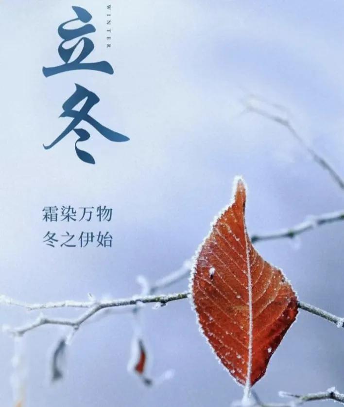 立冬
|椛尘埃

今日立冬。朋友打来电话
挂在窗外的那一串火晶柿子
被长尾巴的花