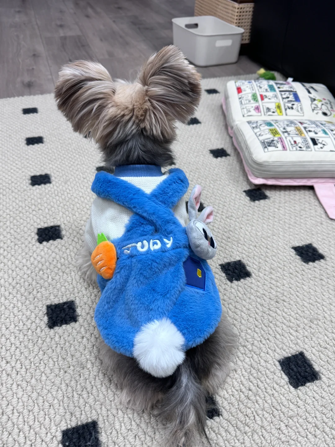 小兔子乖乖，把门开开…套上麻袋…