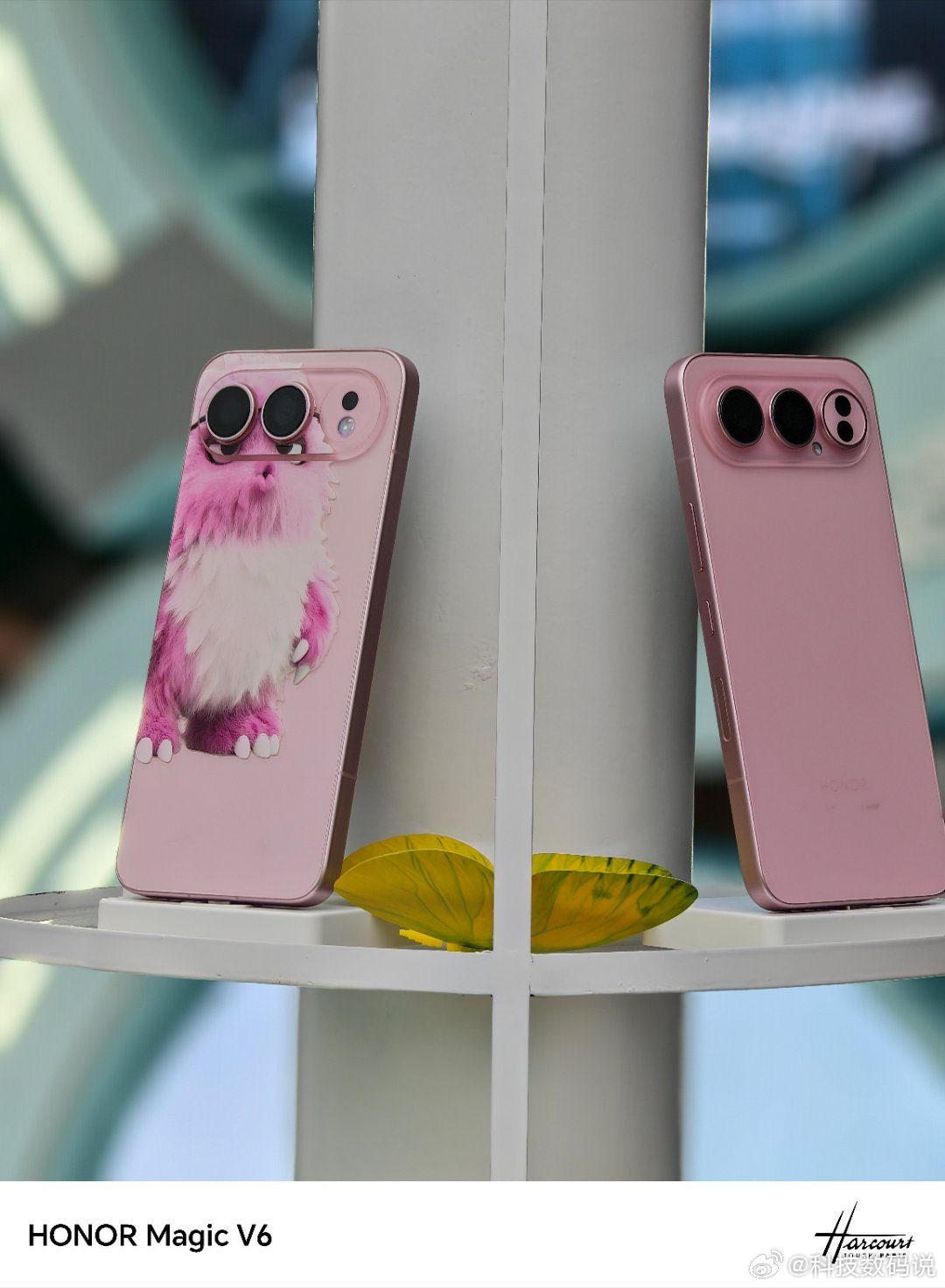 谢霆锋演唱会已就位现场有荣耀打卡区就是排面呀还有专门的摄影套装租赁当然折叠屏大满