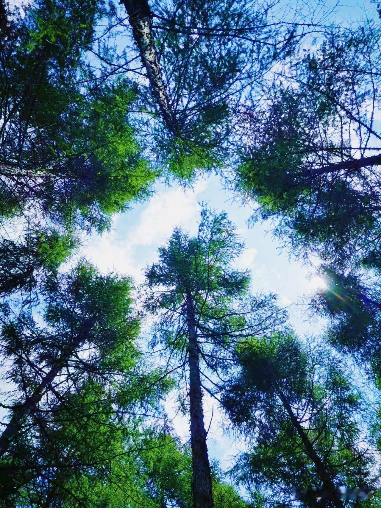 个体医疗一旦形成新的垄断，必将万劫不复

从最宽泛的角度来去讲，健康资源一旦被垄