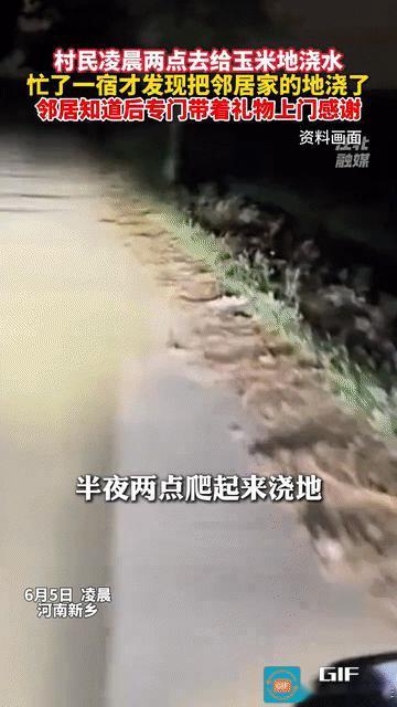 “笑不活了！”河南新乡，男子凌晨2点去给玉米地浇水，累死累活忙了一晚上把地浇好了