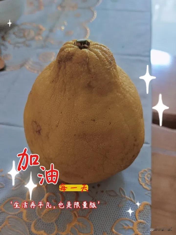 晒图笔记大赛