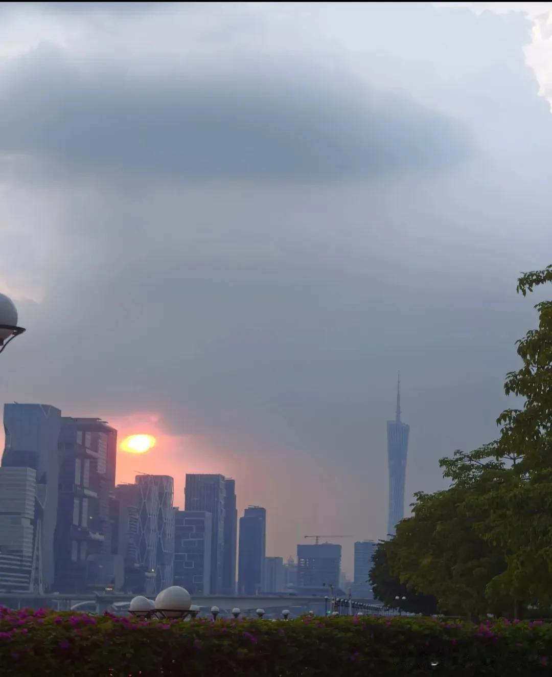 她是有着两百多种变色的善良温柔明媚的的多肉小姐姐，我是阳光自信有哲学耐心的帅美男