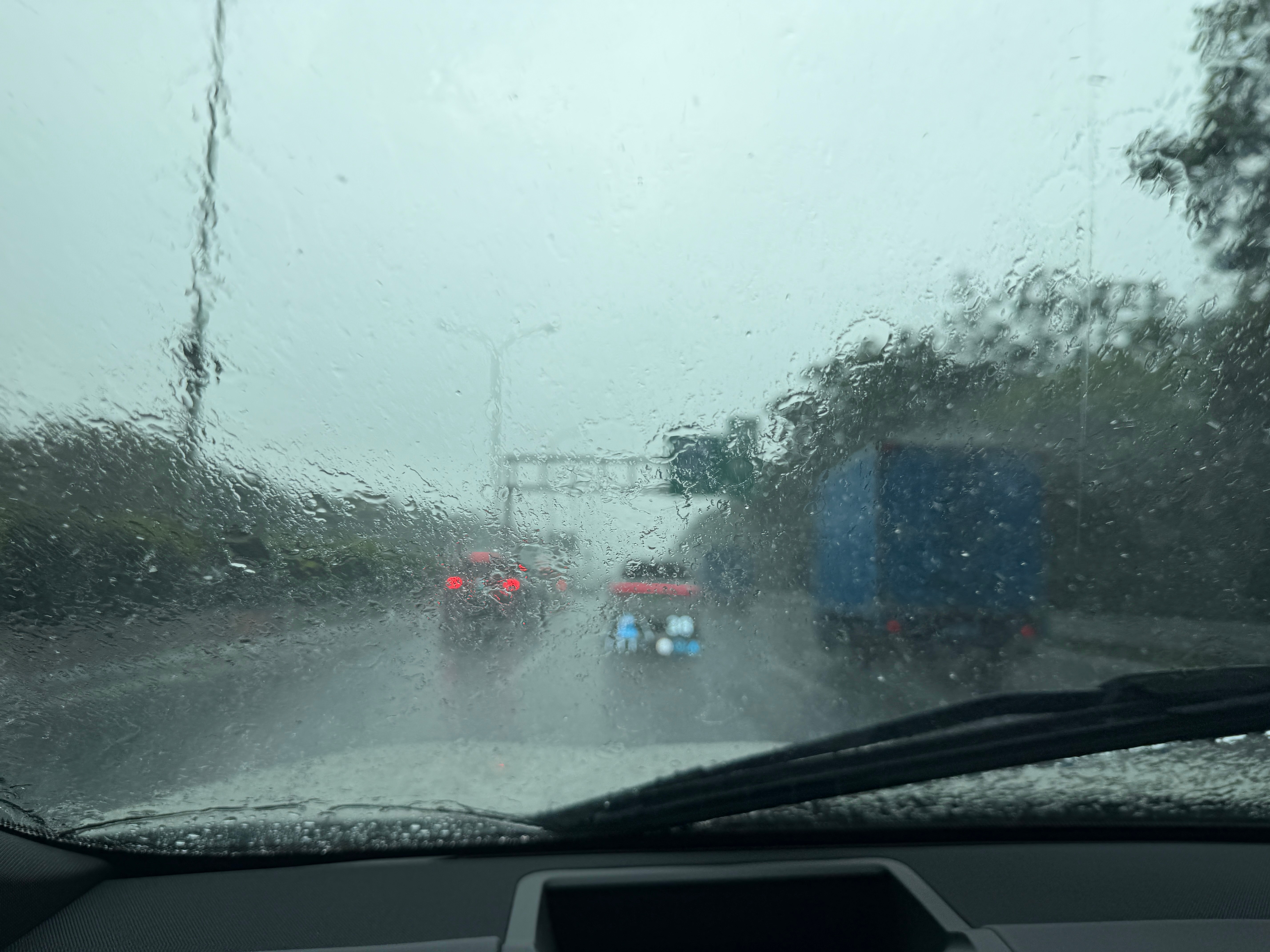 广州的雨连下十天了快，人都要发霉了到底什么时候能出太阳啊！！！（怒吼😠 