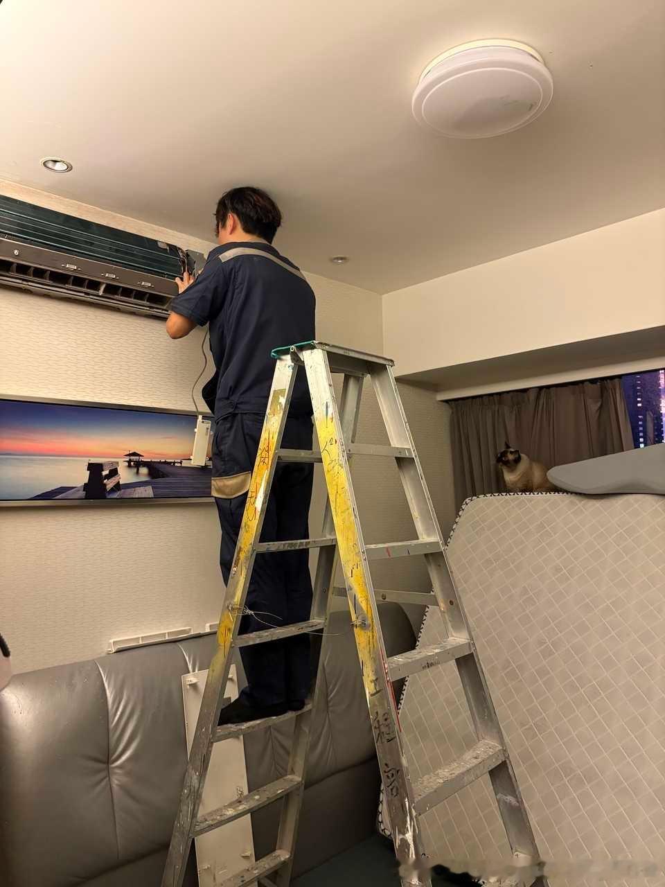 3940只黑脸猫：师傅你是干什么工作的 