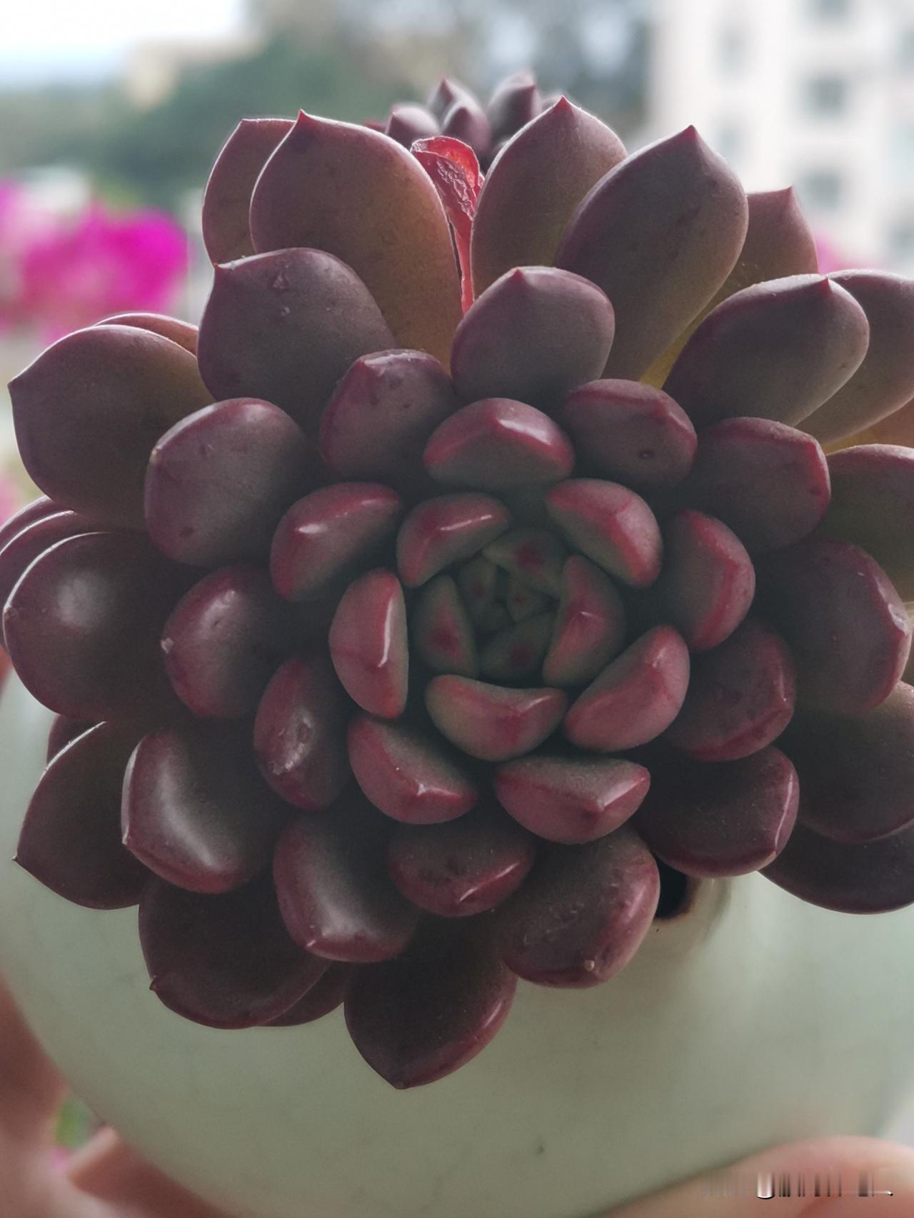 2025年12月31日
祝福大家
健康快乐，平安喜乐，万事胜意，恭喜发财！