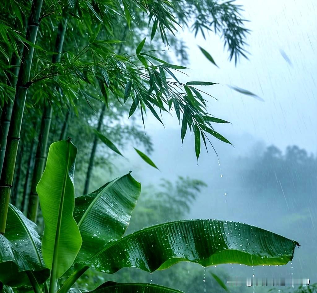 风吹竹叶沙沙响
雨打芭蕉点点声