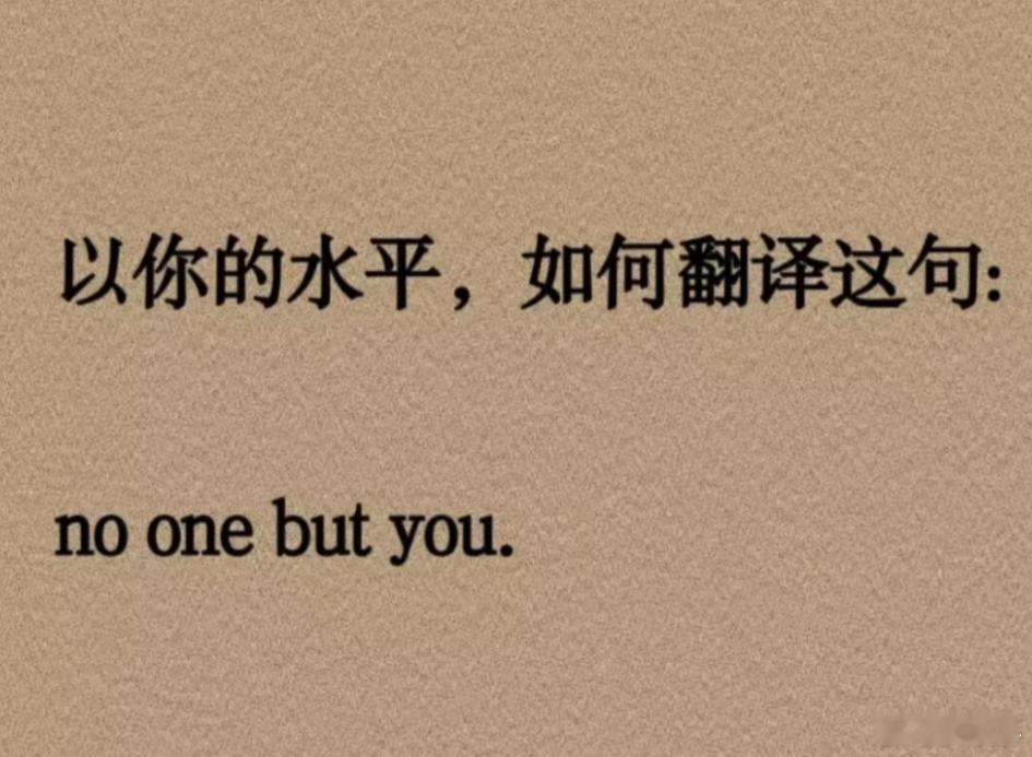 以你的文采和英语水平，会如何翻译这句话：no one but you. 
