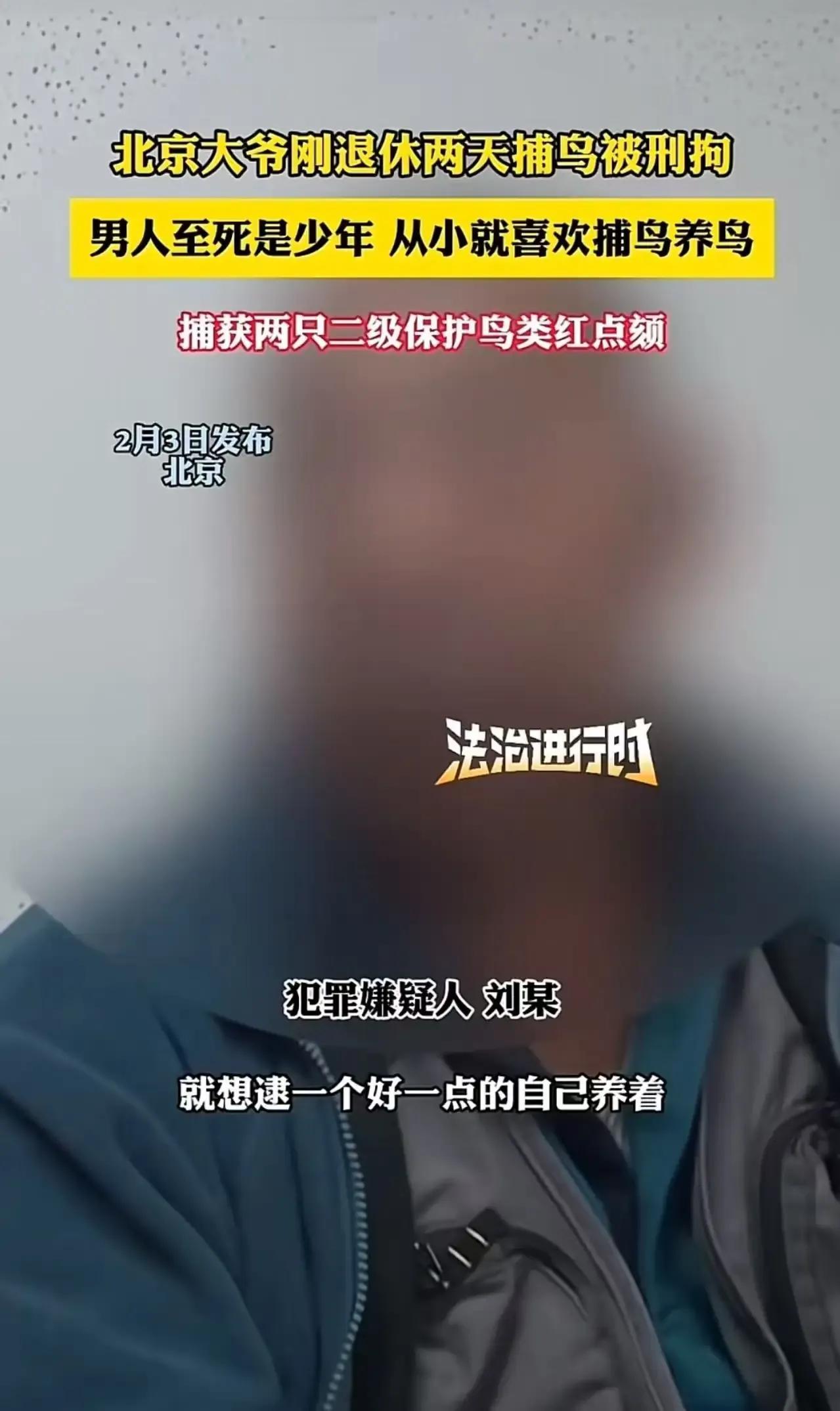 “吃了没文化的亏！”北京icon，大爷刚退休两天捕鸟被刑拘！原来，大爷捕获两只耳