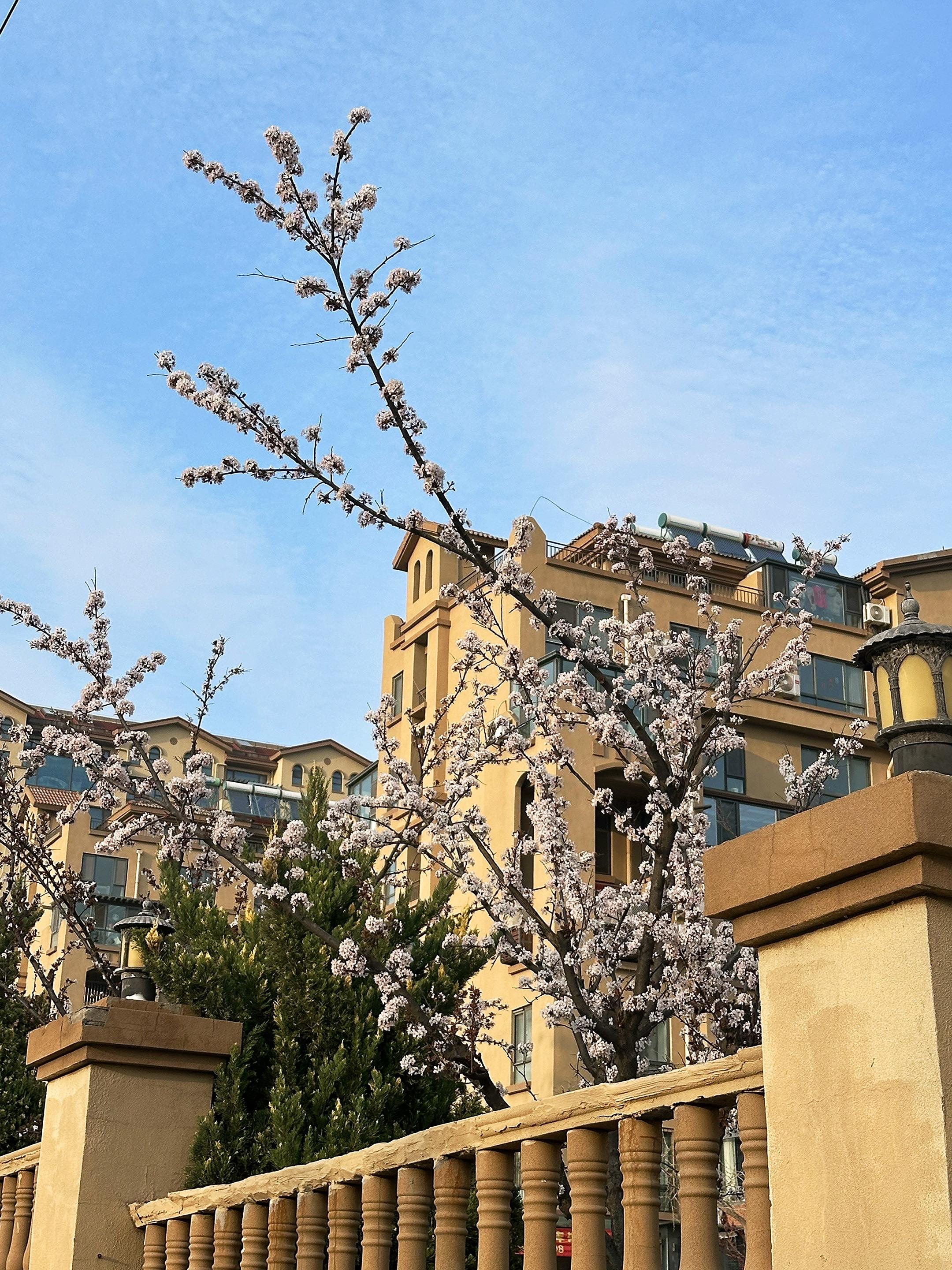 回家的每一眼都是风景