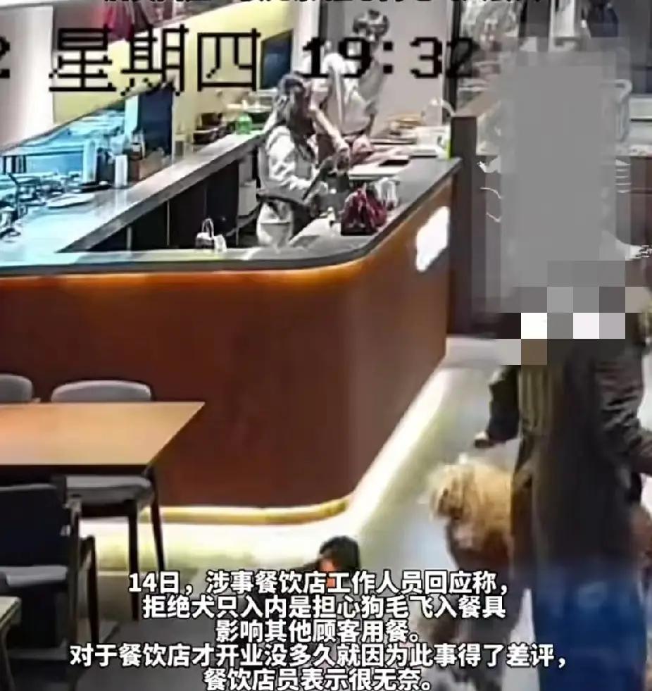 惊了！女子牵两条“皇宫贵族狗”进餐馆，被劝阻后怒走还甩差评，网友炸锅了！

最近