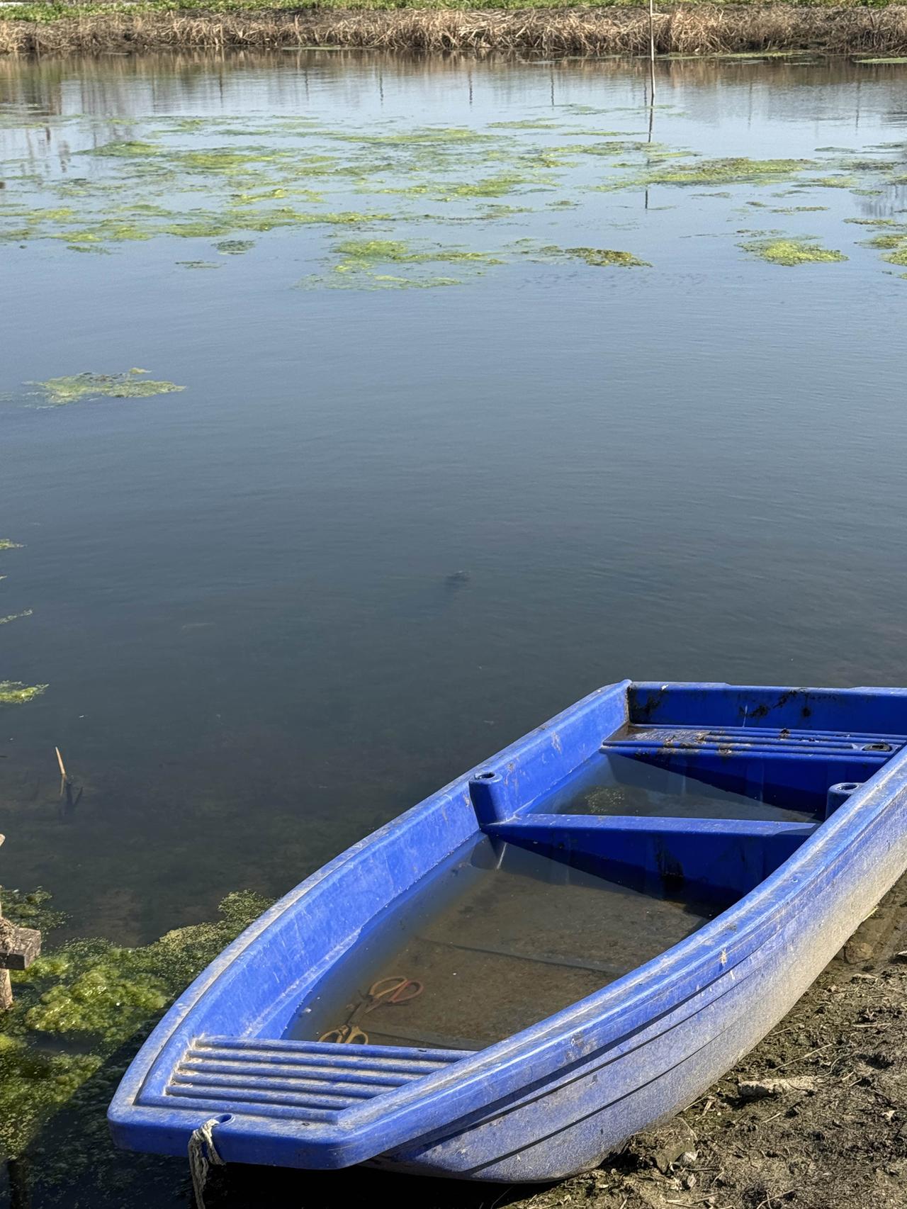 画面清幽，小船轻泊，浮草点点，意境恬静悠远。