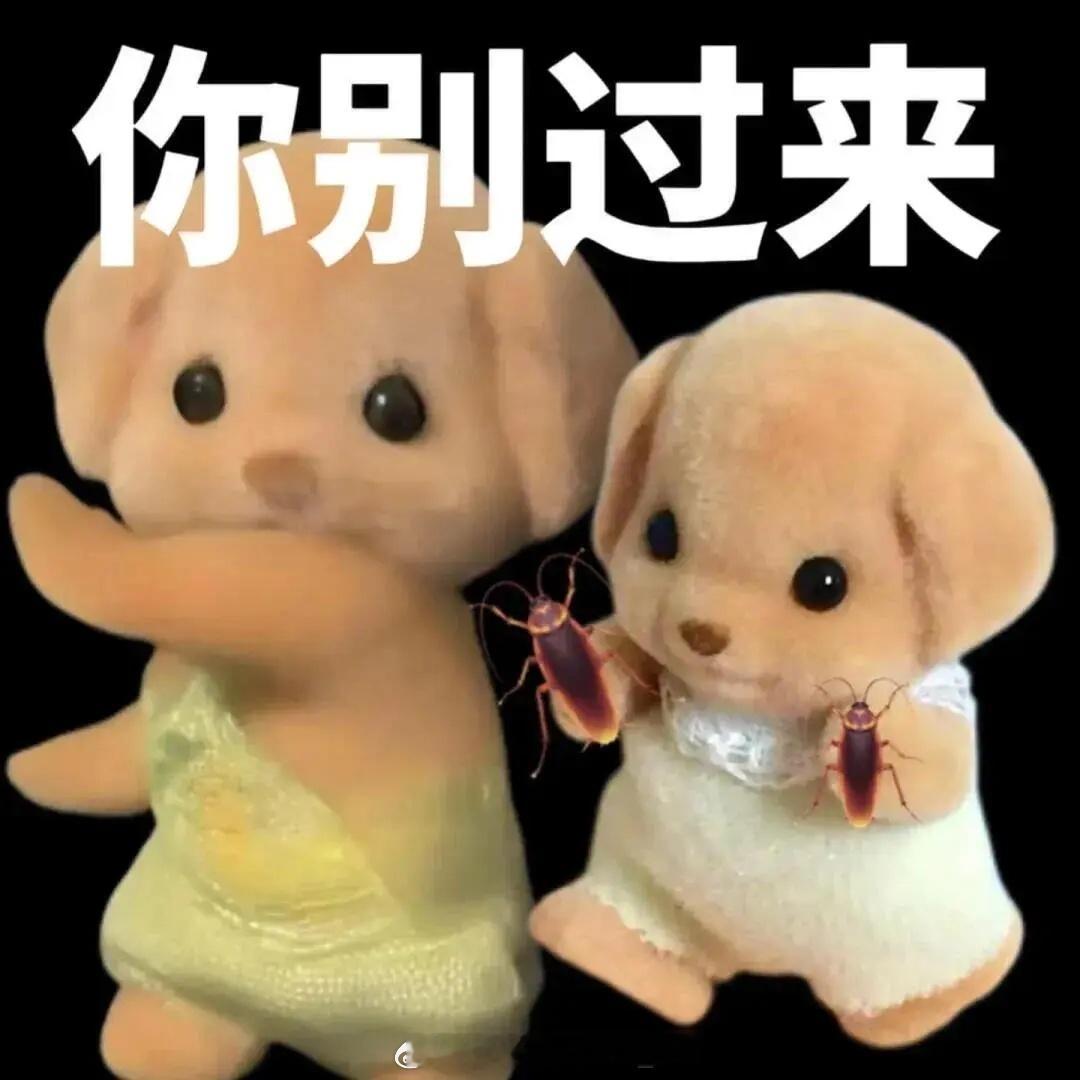 莎头好久不见 王楚钦辛苦了💦 