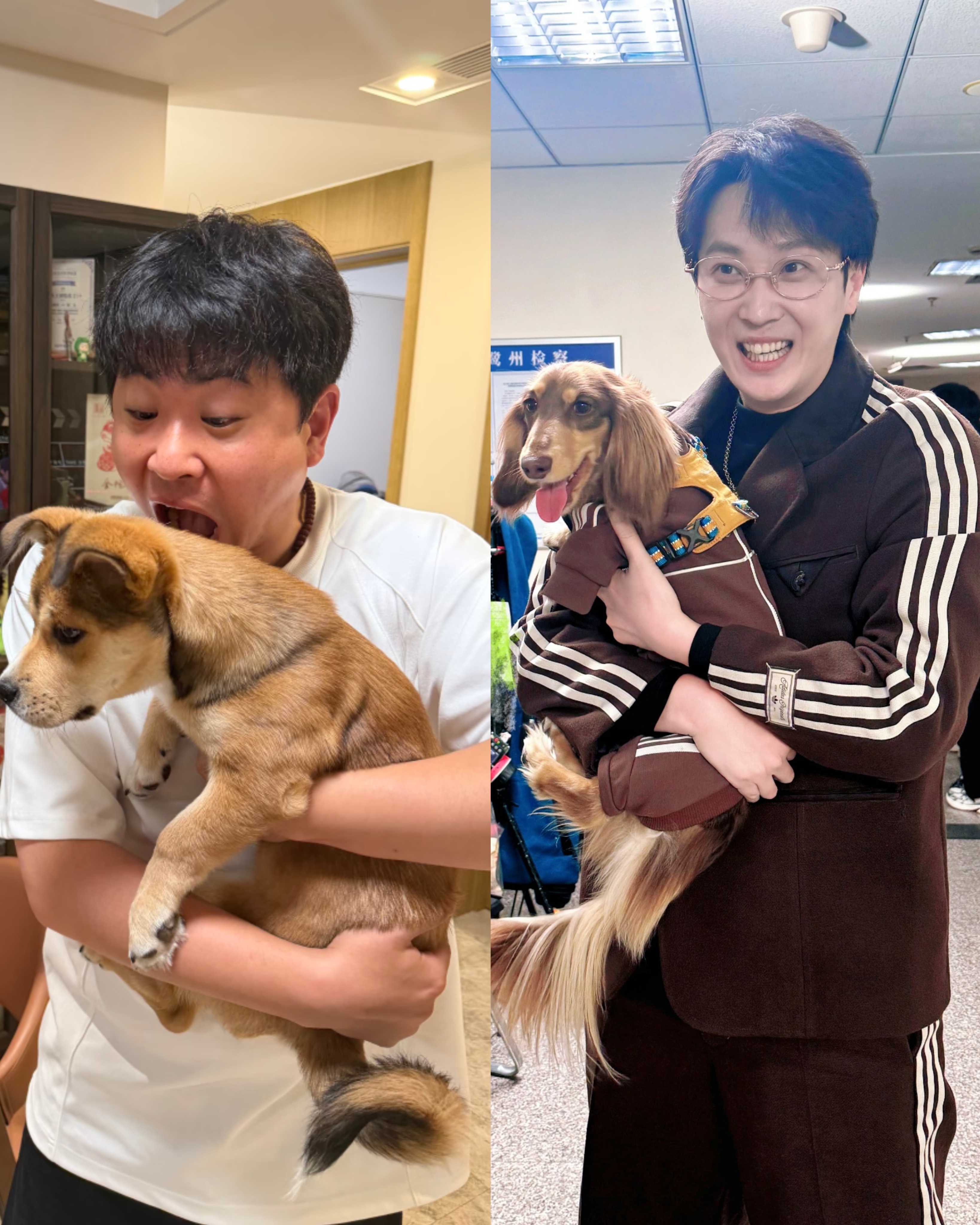 这怎么也能代啊啊啊啊啊啊啊P2找的 