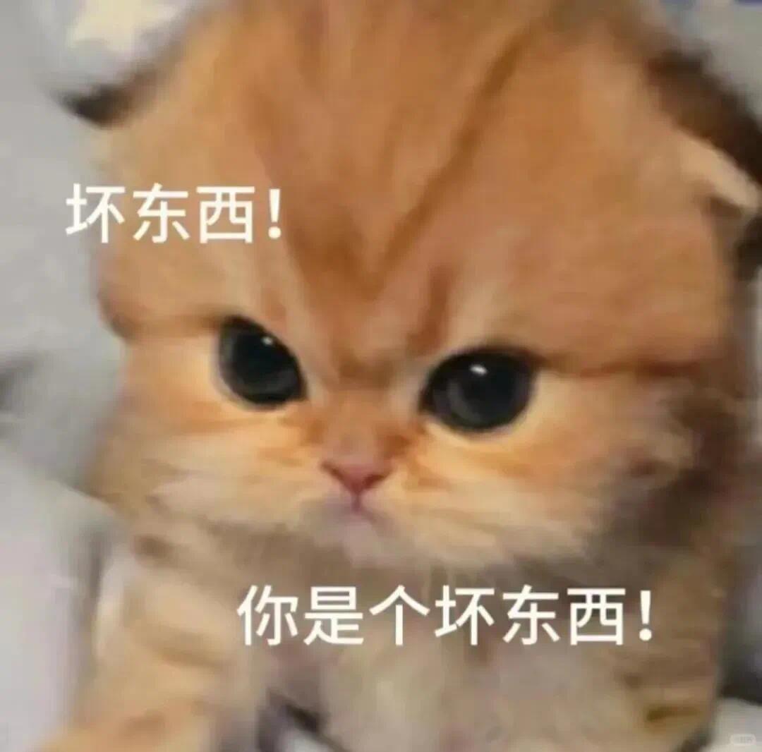 汉堡应该原谅德甲了，要不然不能回来。但是不知道原没原谅拜仁。 ​​​