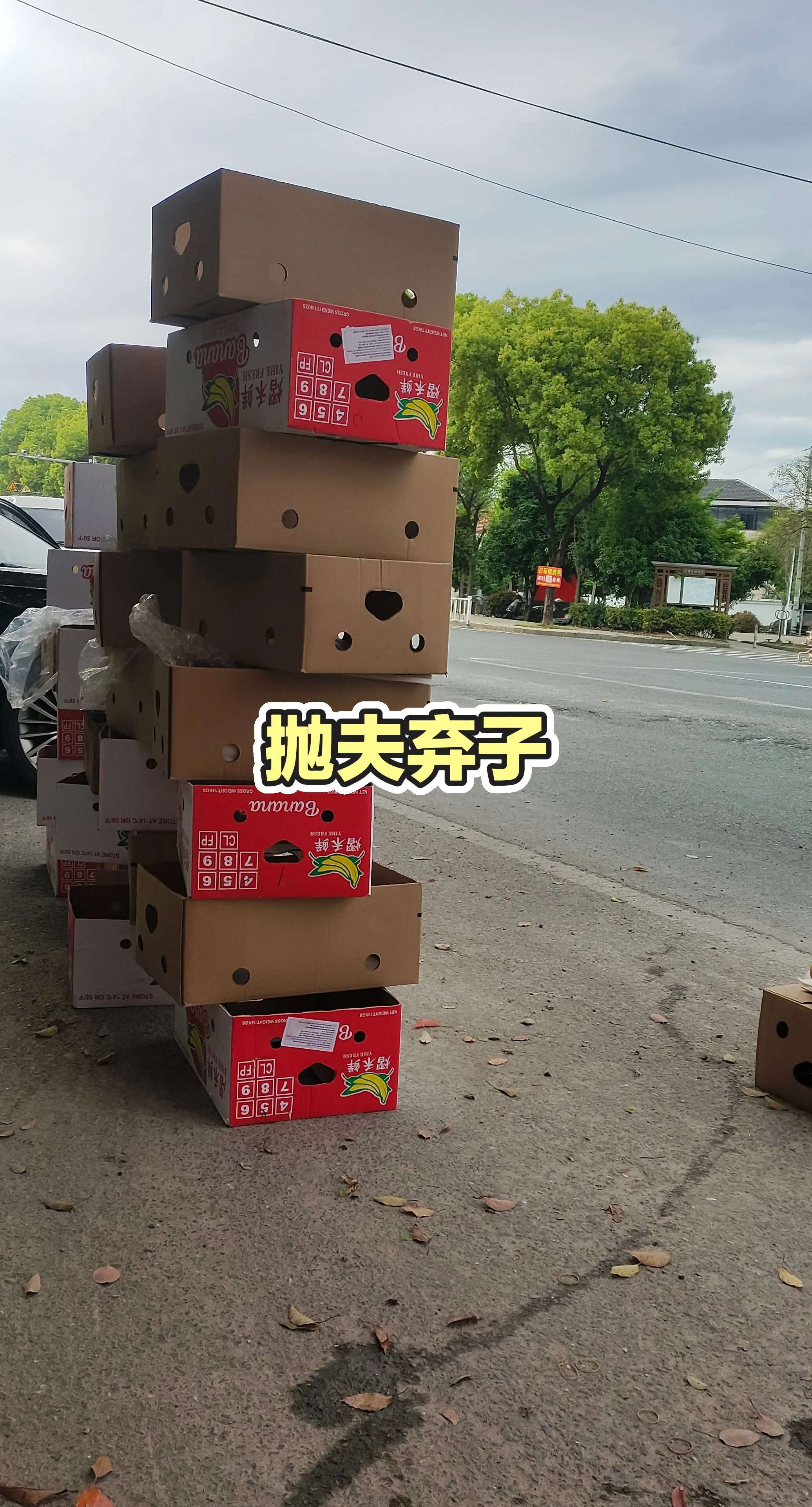 纸箱包装 每日分享