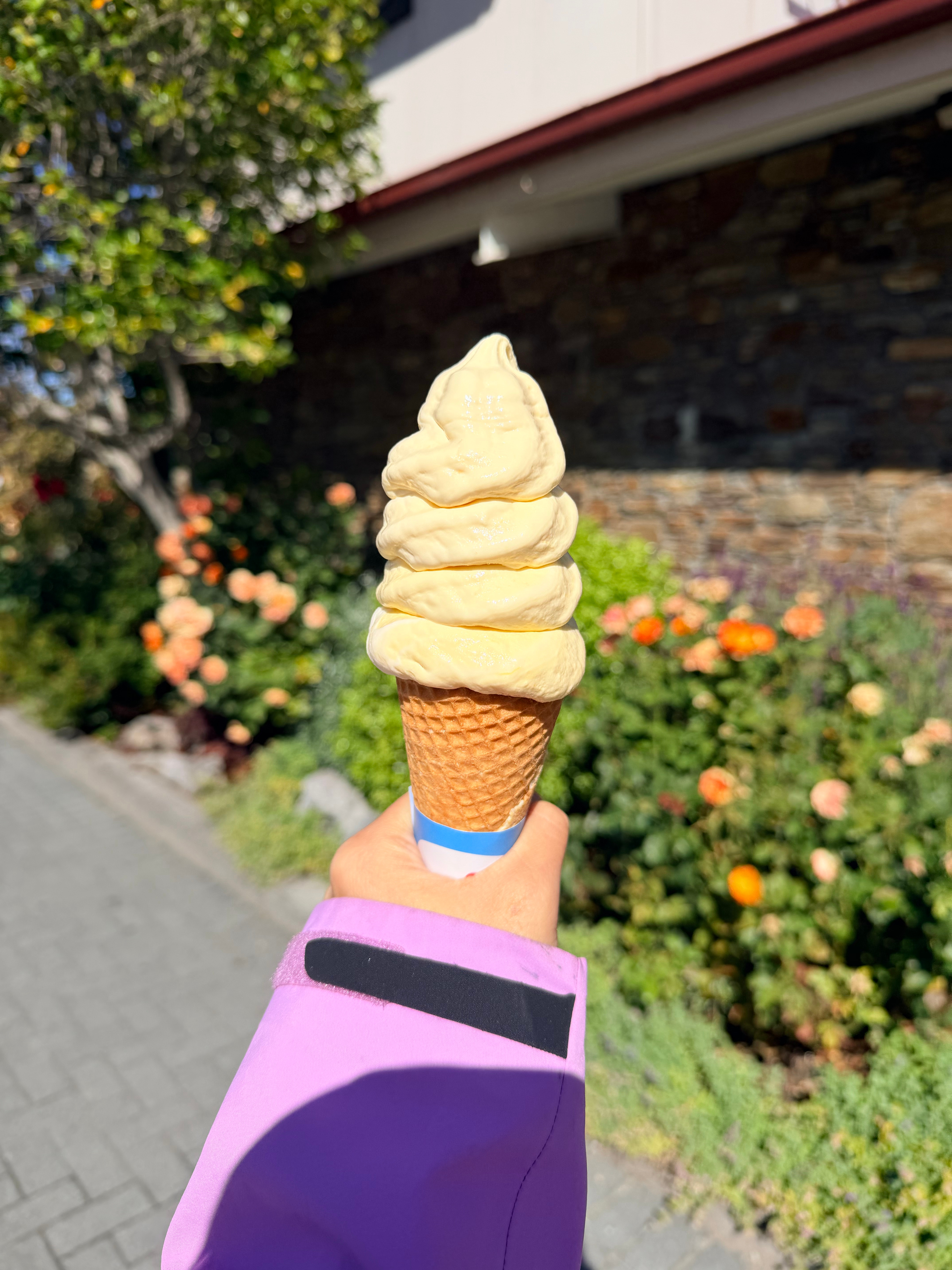 现在在去皇后镇路上，已经看到好几台shark6，但是一台都没拍下来🙉 因为我在